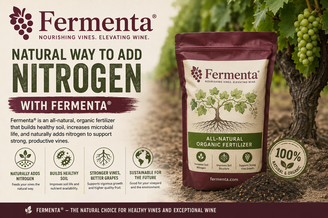 Natural nitrogen sources for vineyard soil — cover crops and compost for healthy grapevines